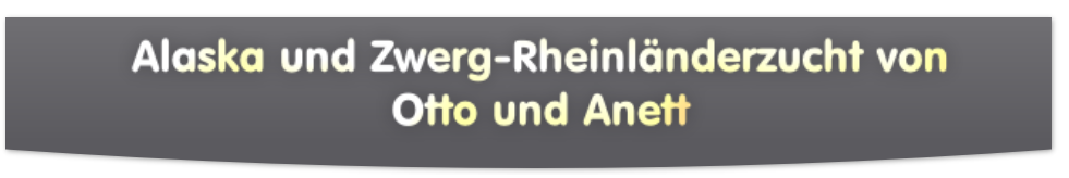 Alaska und Zwerg-Rheinländerzucht von 
Otto und Anett

