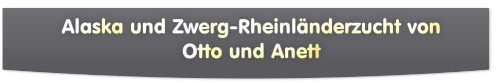 Alaska und Zwerg-Rheinländerzucht von 
Otto und Anett

